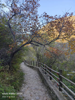 秋景