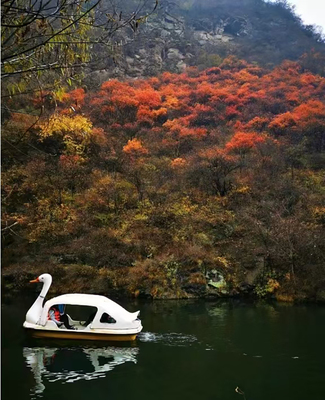 游船